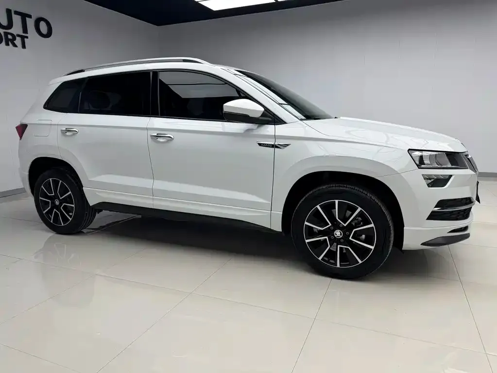Skoda Karoq — фото 3