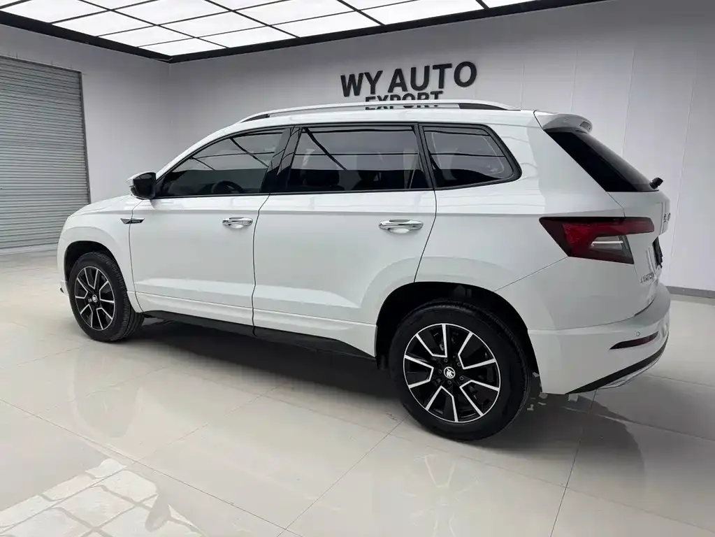 Skoda Karoq — фото 6