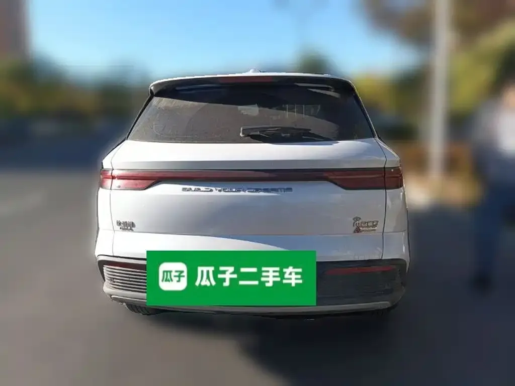 BYD Pro New Energy — фото 4