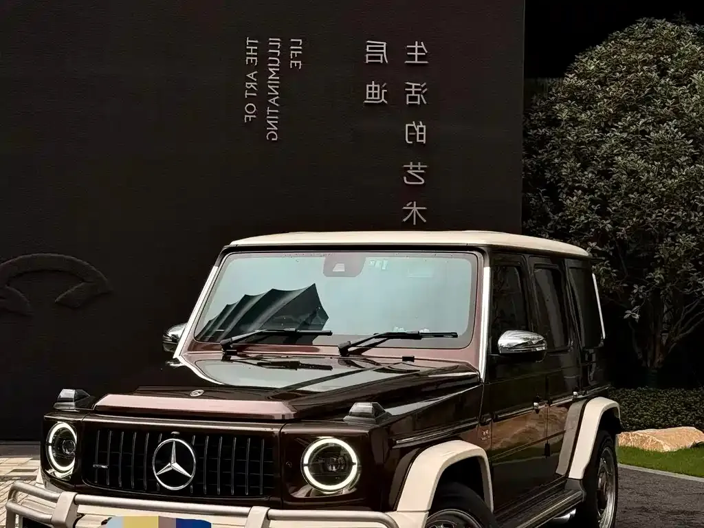 Mercedes-Benz G-Class AMG — фото 4