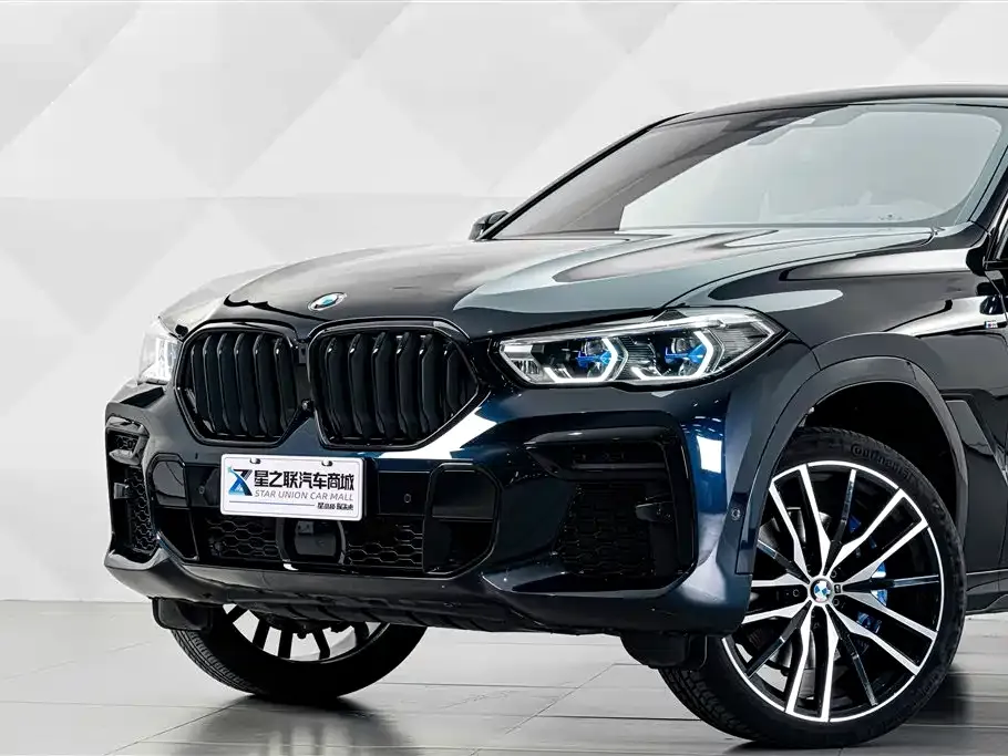 BMW X6 — фото 10