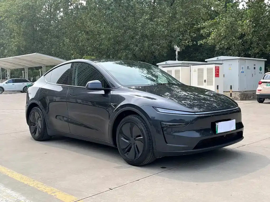 Tesla Model Y — фото 6