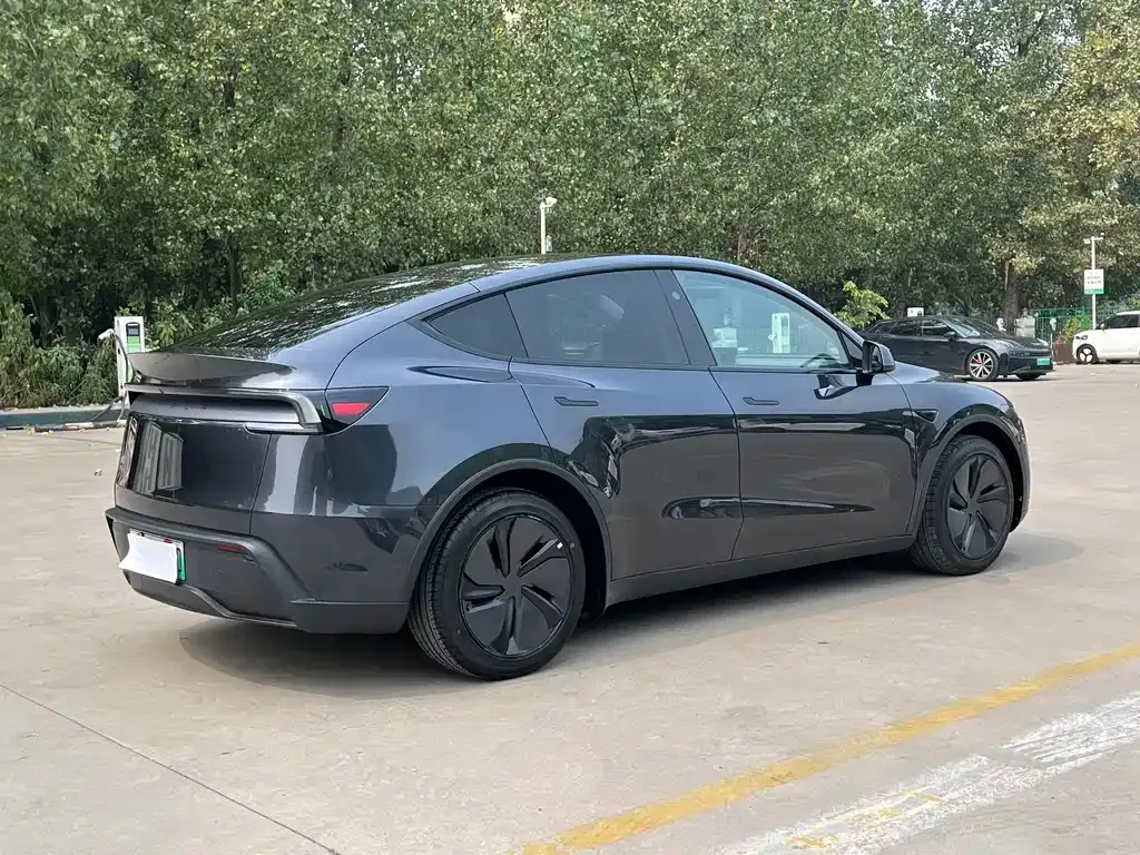Tesla Model Y — фото 9