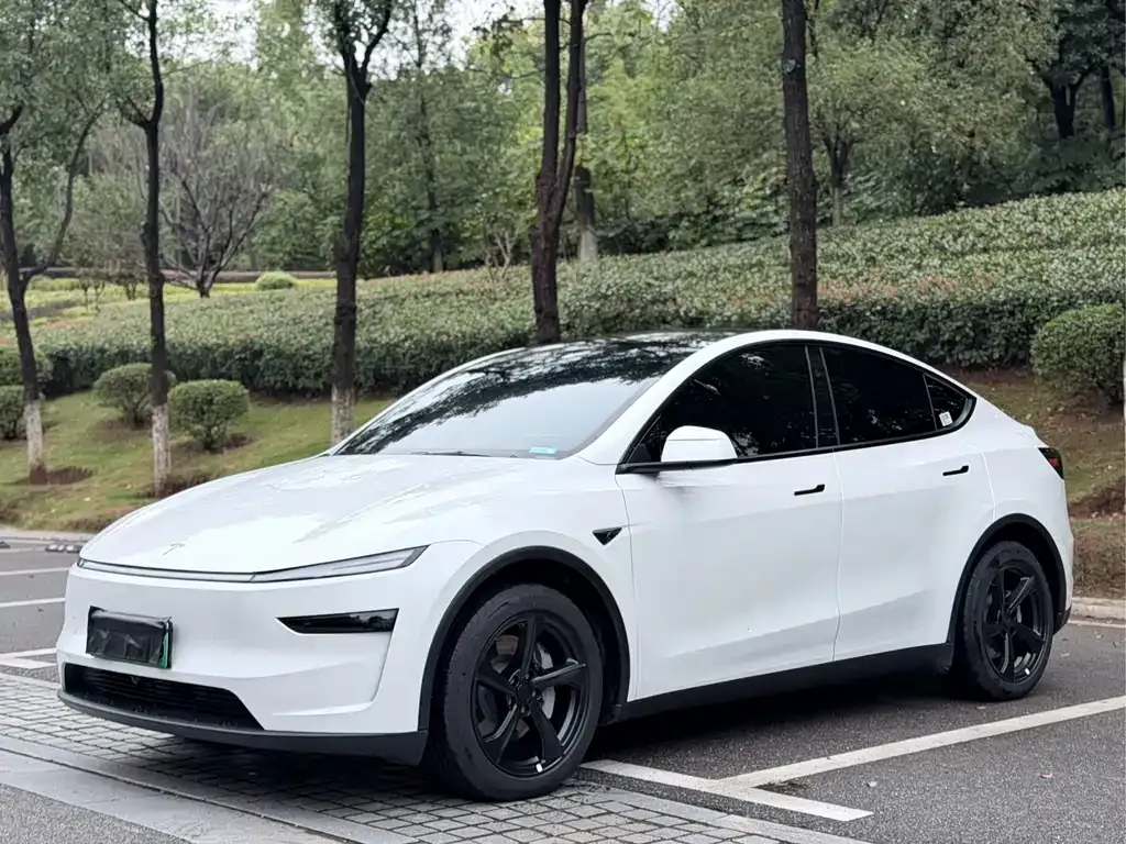 Tesla Model Y — фото 1