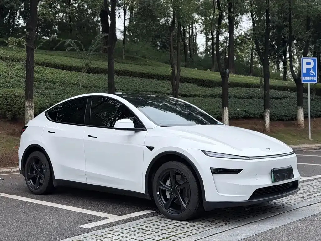 Tesla Model Y — фото 8