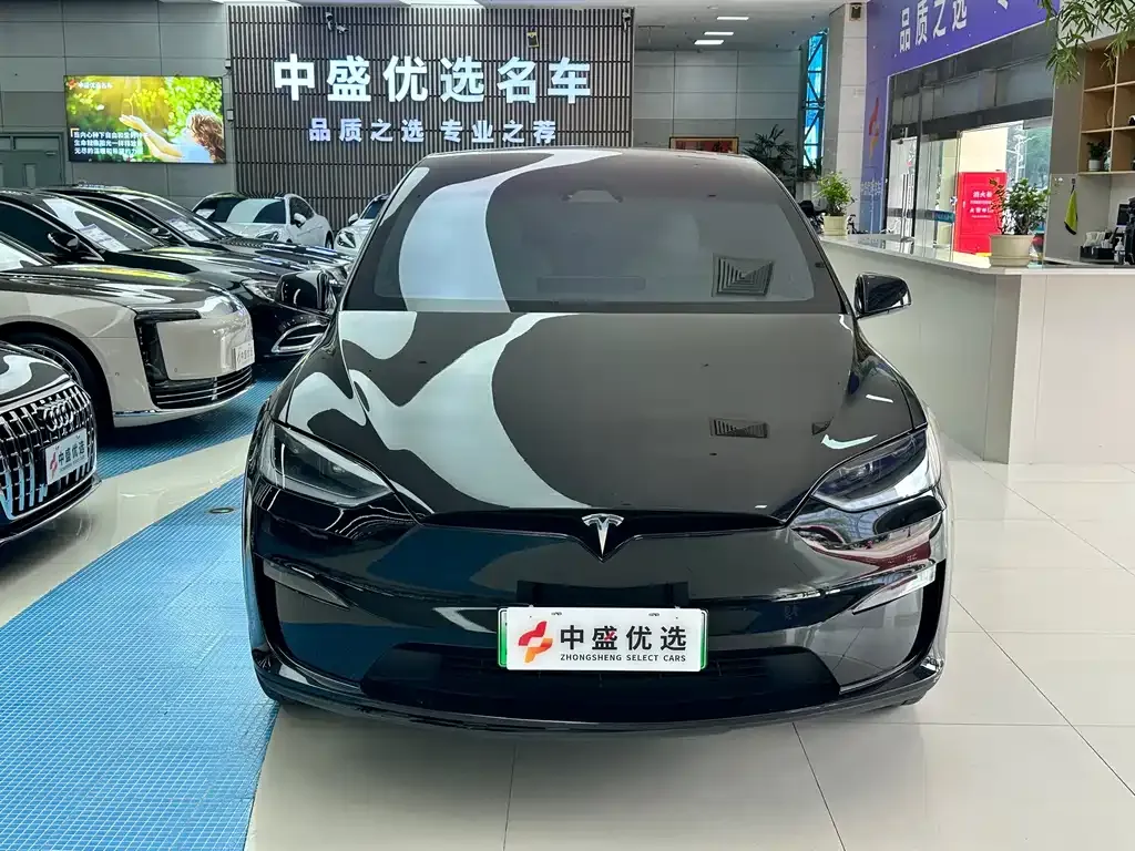 Tesla Model X — фото 5