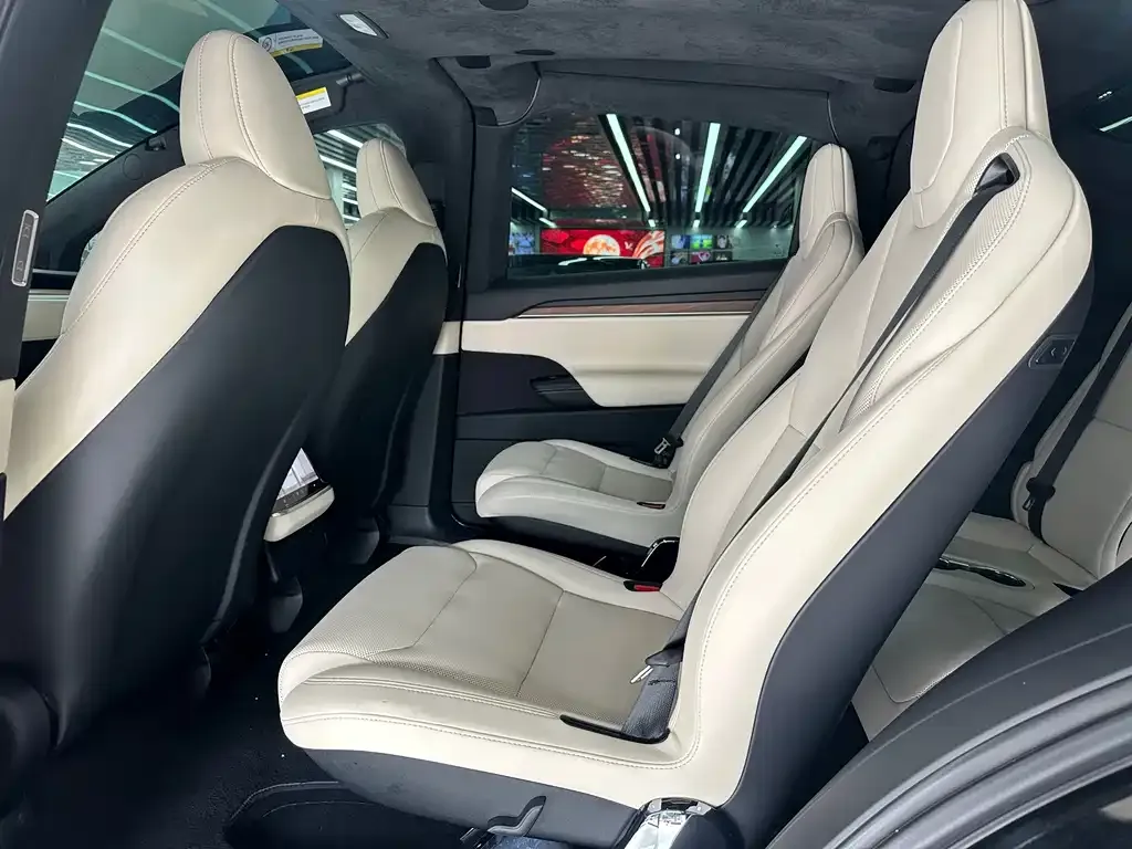 Tesla Model X — фото 10
