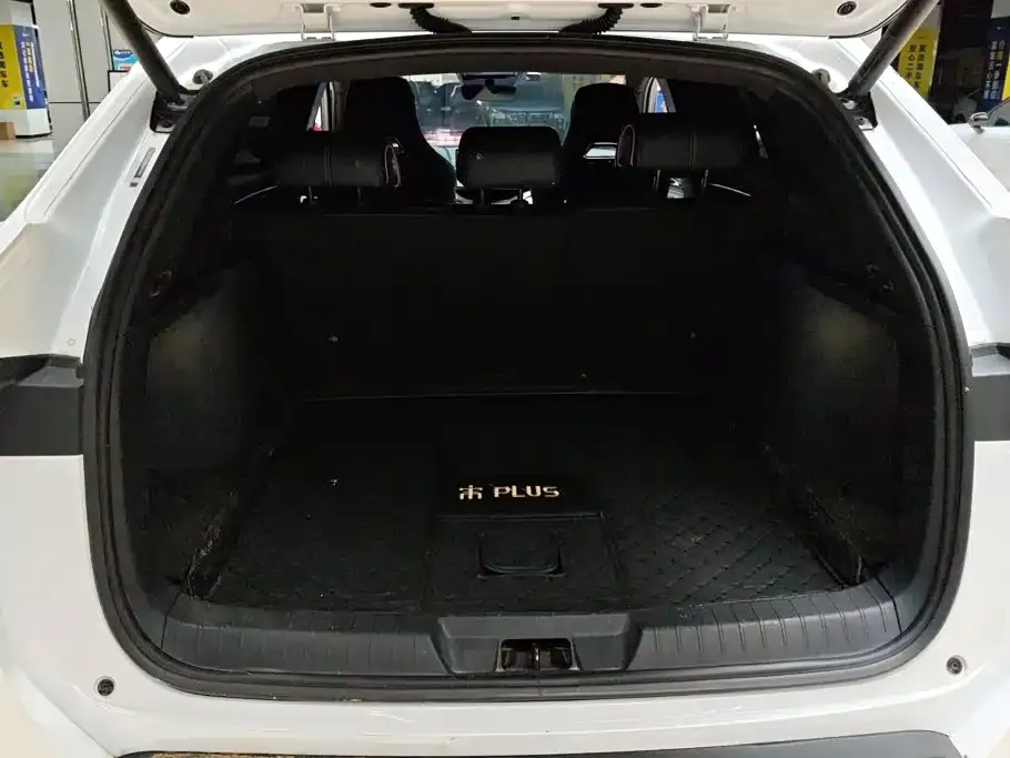 BYD PLUS New Energy — фото 2