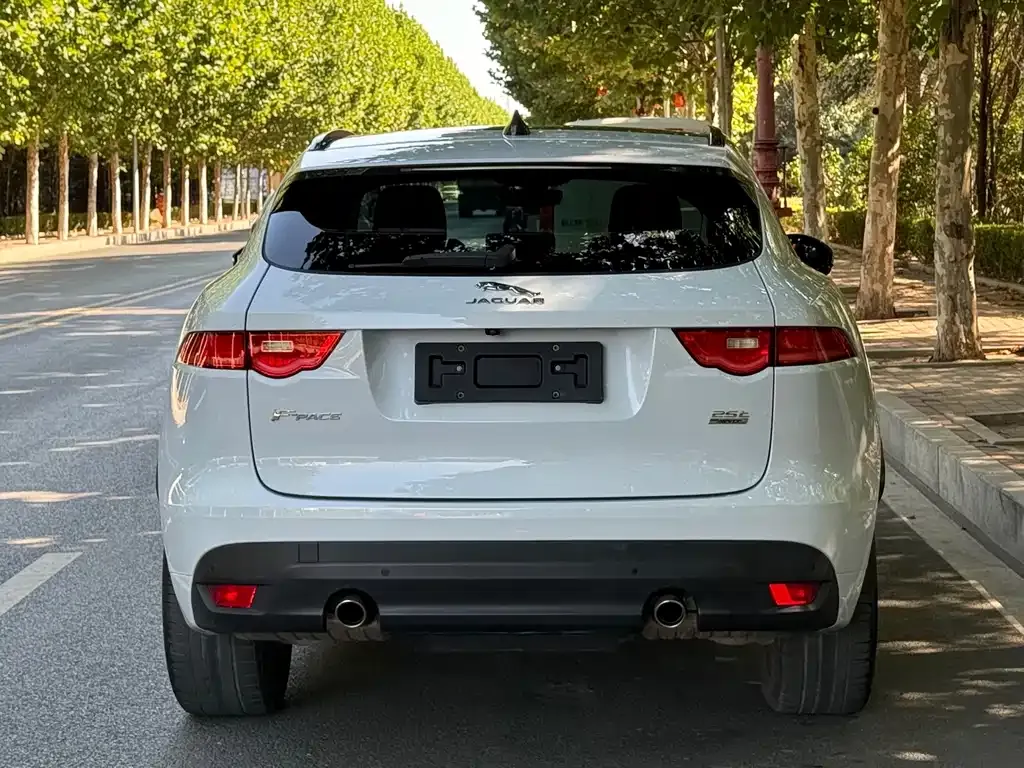 Jaguar F-PACE — фото 3