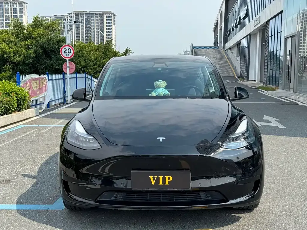 Tesla Model Y — фото 4