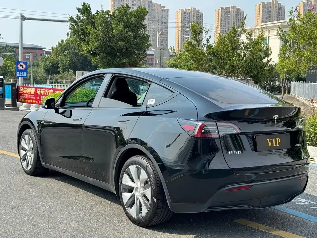 Tesla Model Y — фото 10