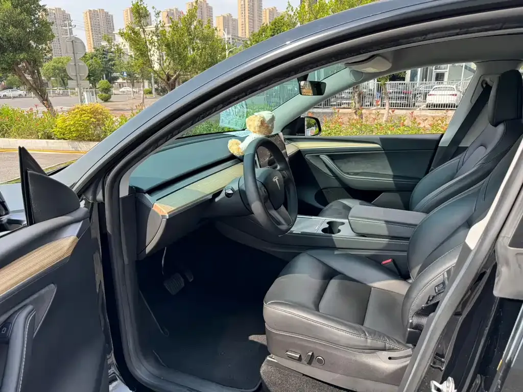 Tesla Model Y — фото 6