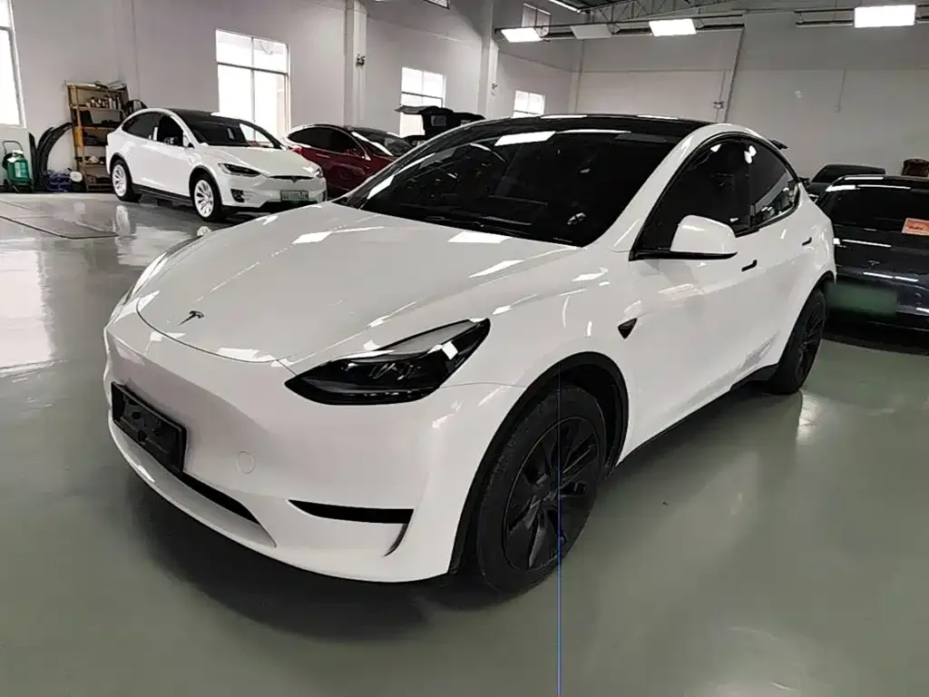 Tesla Model Y — фото 1