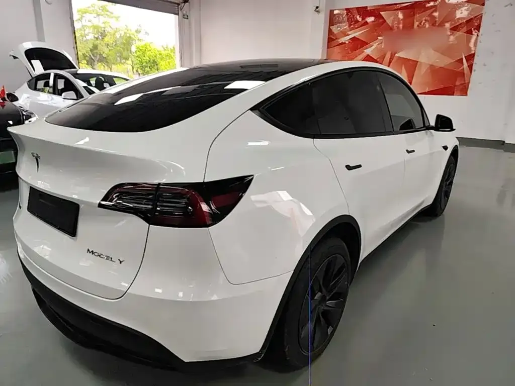 Tesla Model Y — фото 8