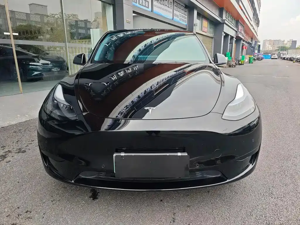 Tesla Model Y — фото 1