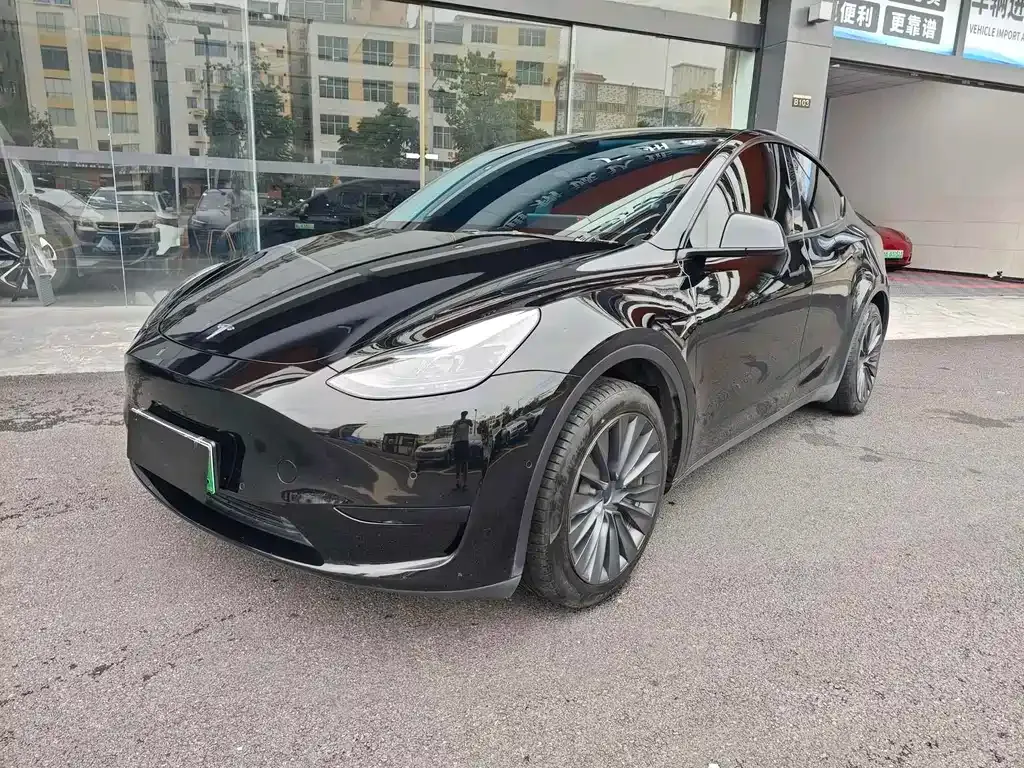 Tesla Model Y — фото 9