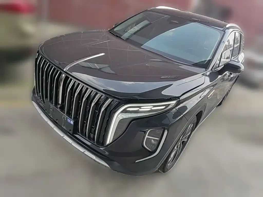Hongqi HS7 PHEV — фото 6