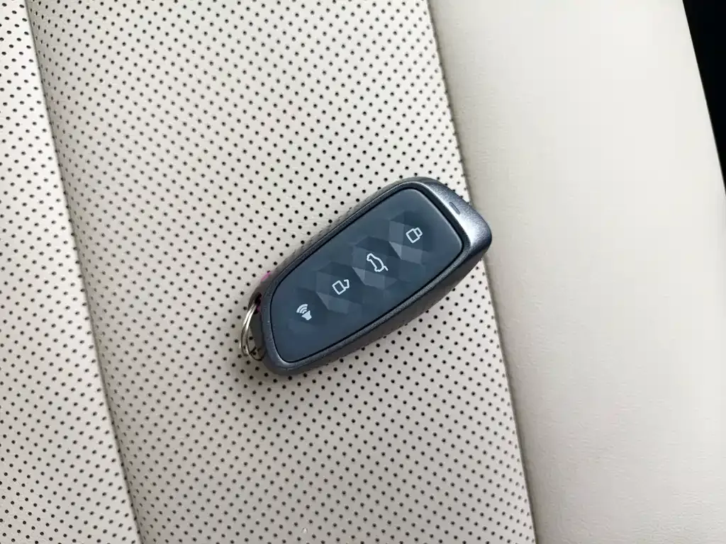 Haval Big Dog — фото 10