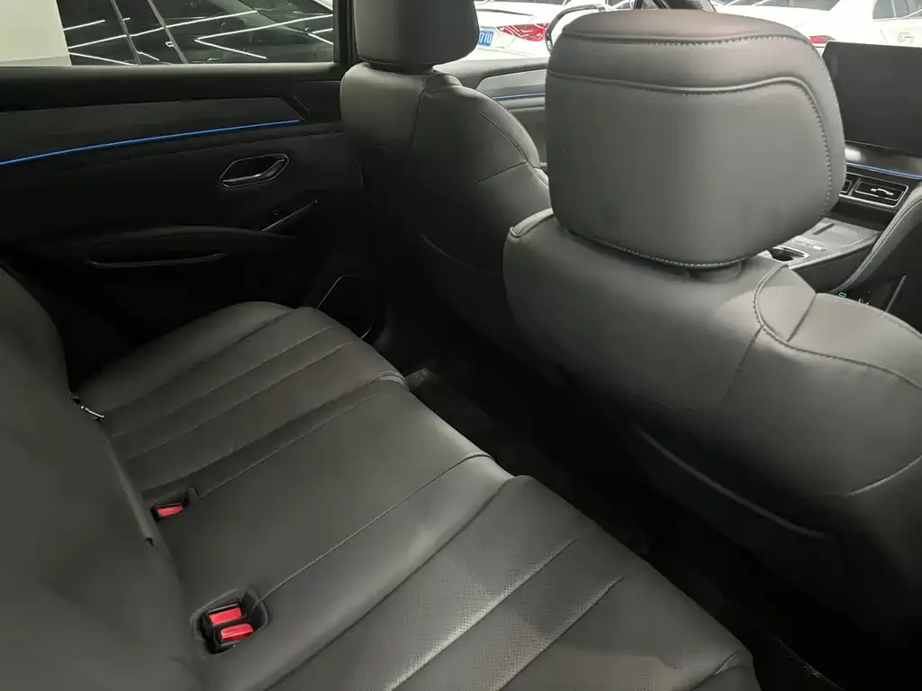 BYD L DM-i — фото 8