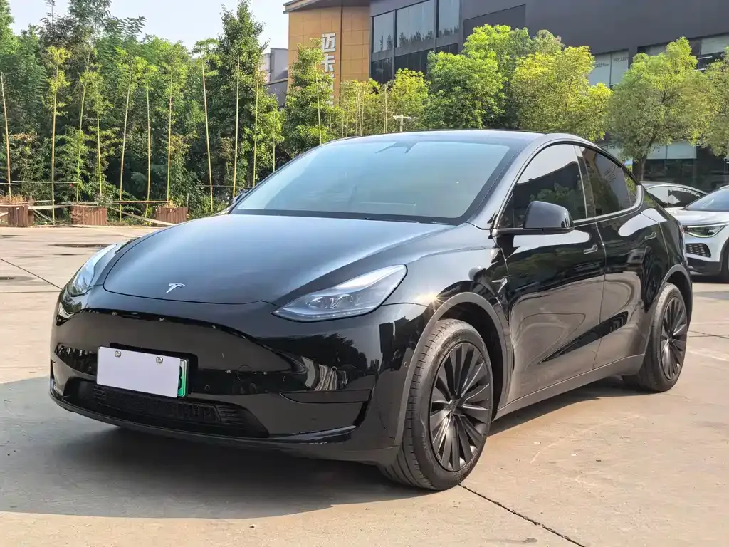 Tesla Model Y — фото 1