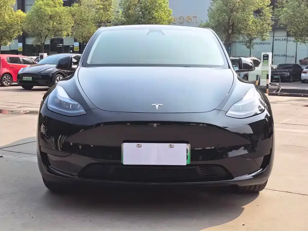 Tesla Model Y — фото 2