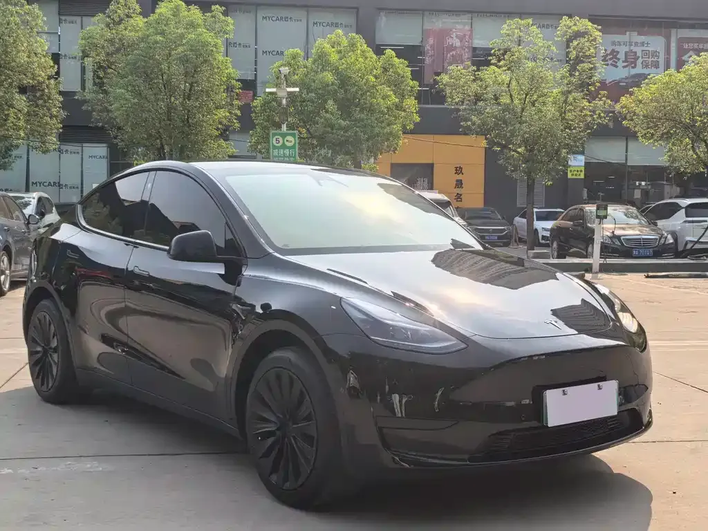 Tesla Model Y — фото 8