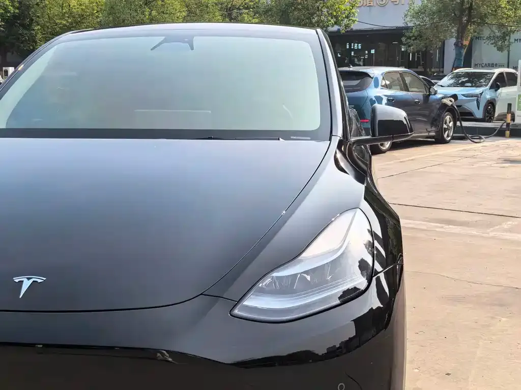 Tesla Model Y — фото 7