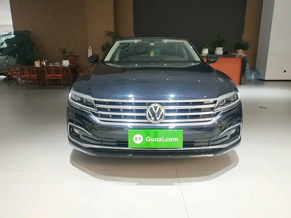 Volkswagen Phideon — фото 8