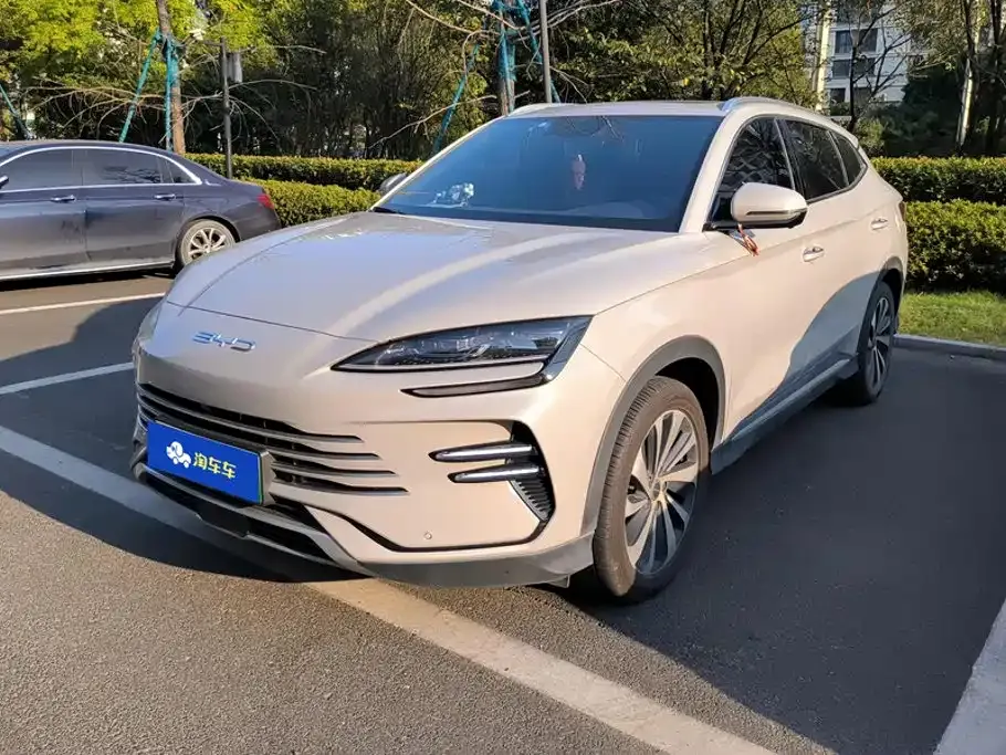 BYD PLUS New Energy — фото 1
