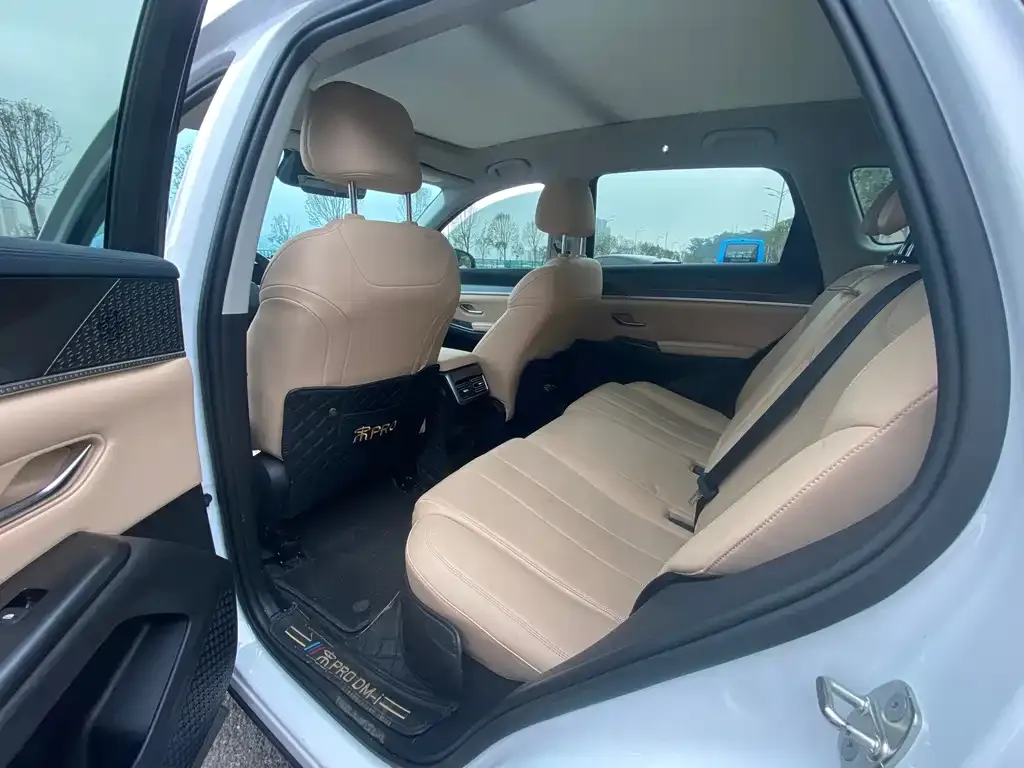 BYD Pro New Energy — фото 2