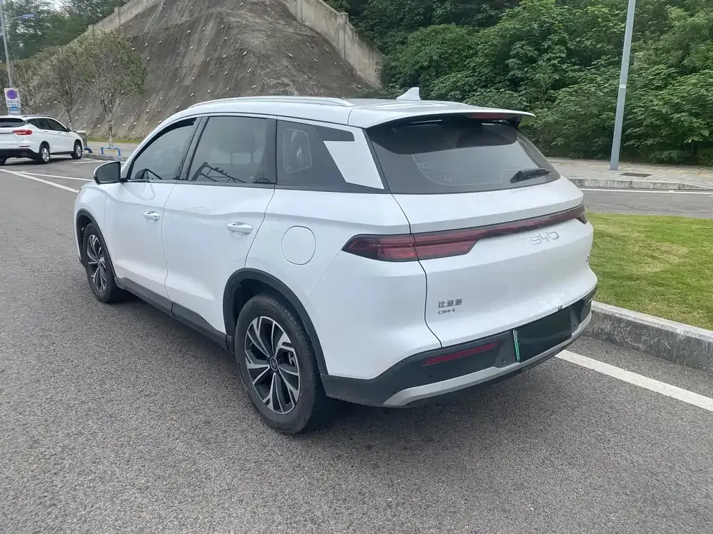 BYD Pro New Energy — фото 6