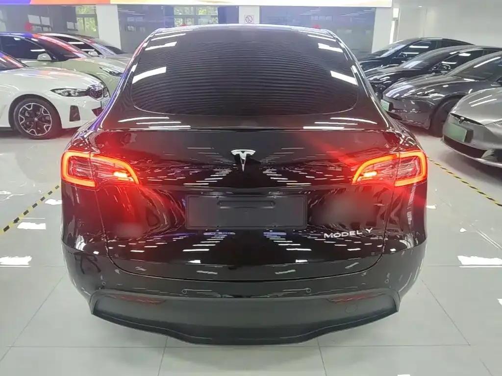 Tesla Model Y — фото 4