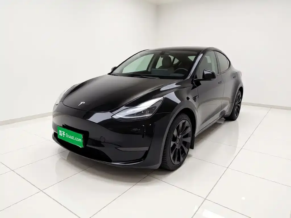 Tesla Model Y — фото 1