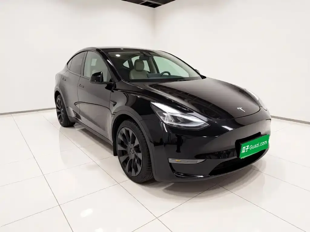 Tesla Model Y — фото 3