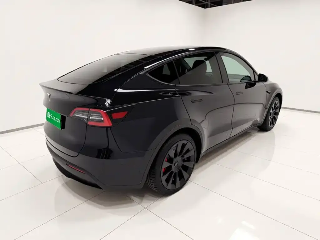 Tesla Model Y — фото 5