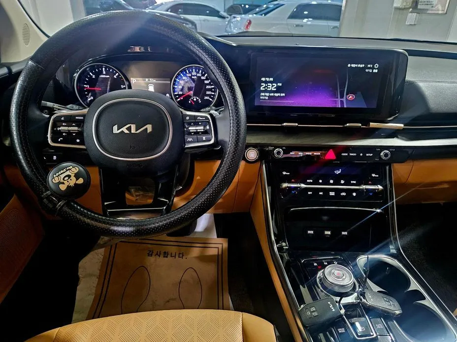Kia Carnival — фото 10