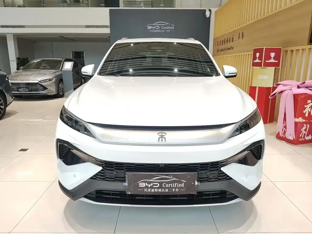 BYD Pro New Energy — фото 4