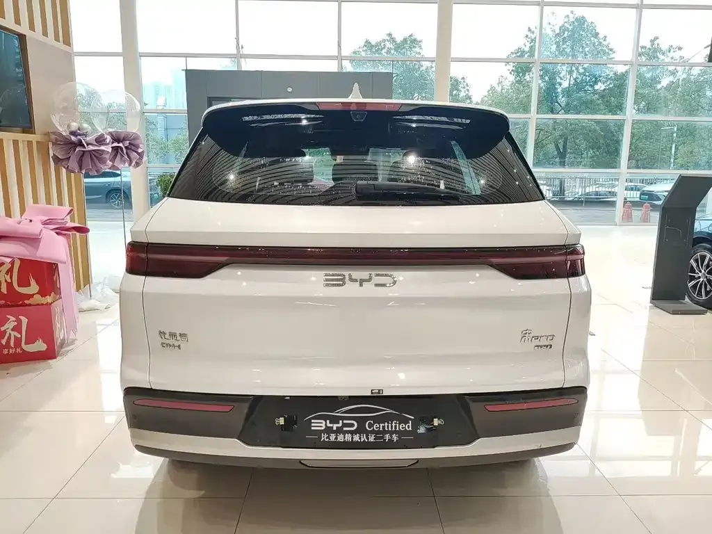 BYD Pro New Energy — фото 8