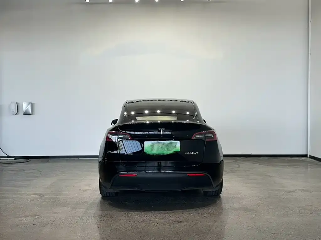 Tesla Model Y — фото 9
