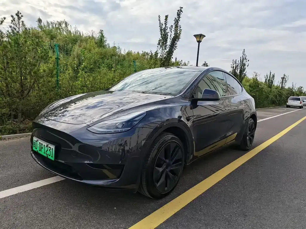 Tesla Model Y — фото 1