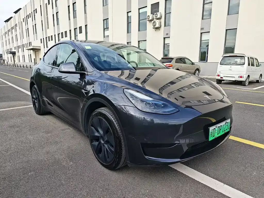 Tesla Model Y — фото 2