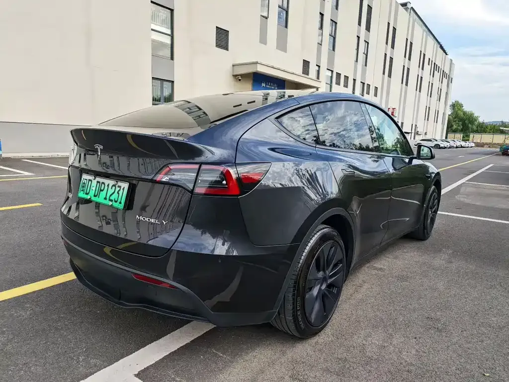 Tesla Model Y — фото 9