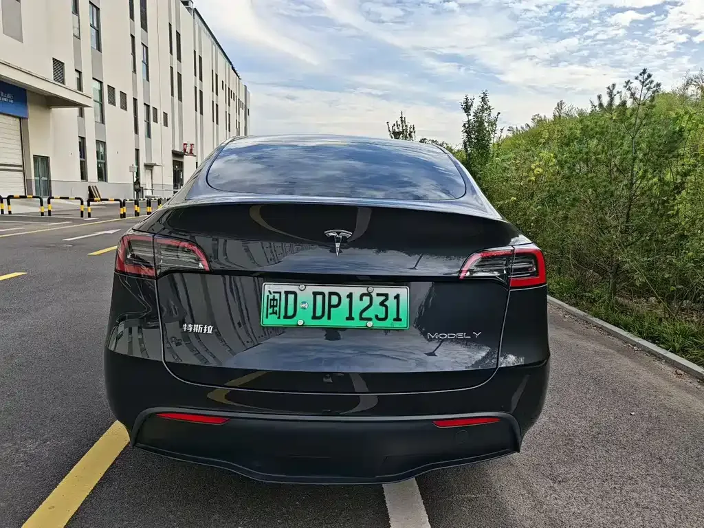 Tesla Model Y — фото 8