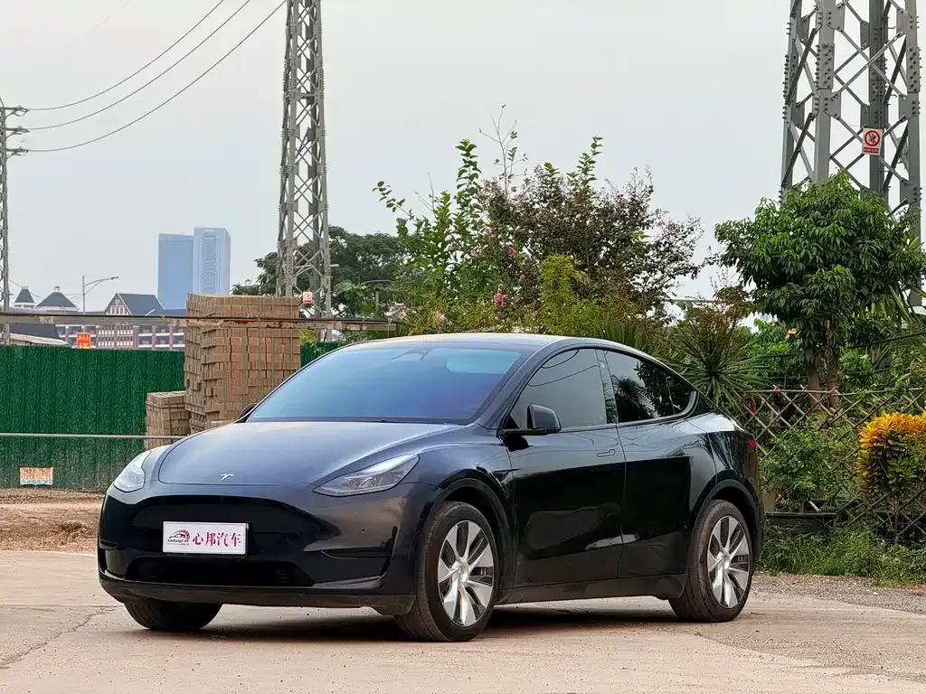 Tesla Model Y — фото 1