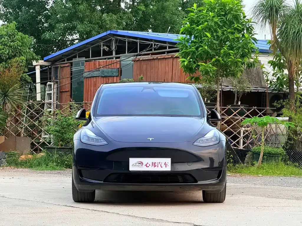 Tesla Model Y — фото 8