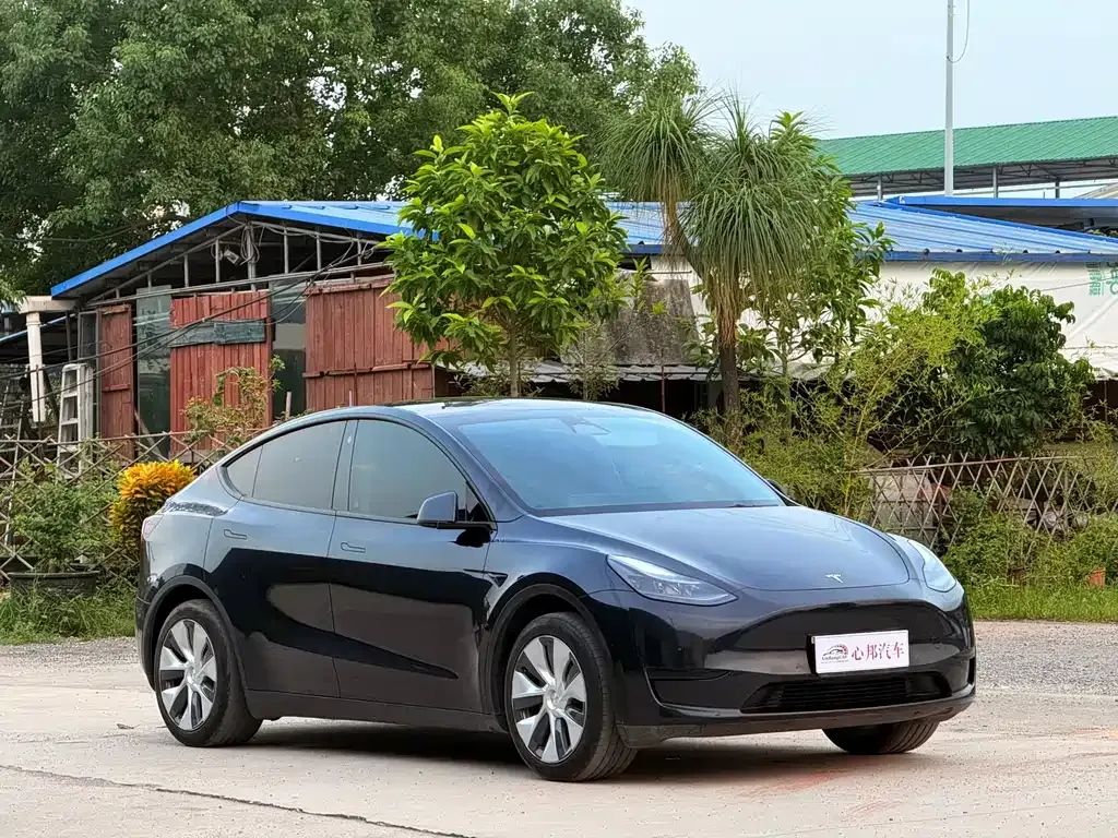 Tesla Model Y — фото 10