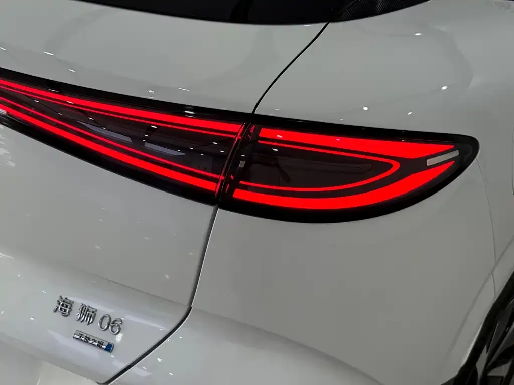 BYD Sealion 06 — фото 10