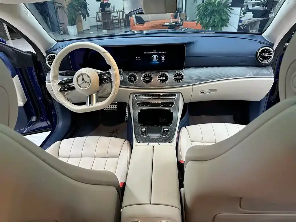 Mercedes-Benz E-Class (Import) — фото 8