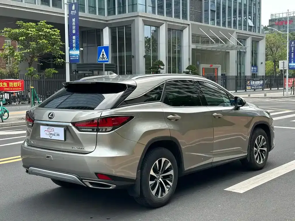 Lexus RX — фото 6