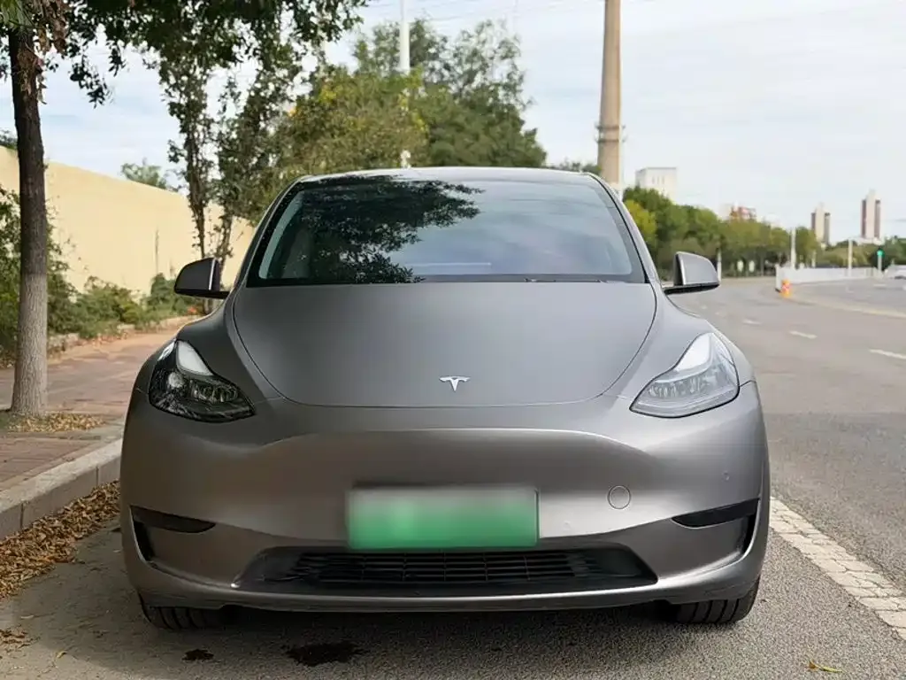 Tesla Model Y — фото 10
